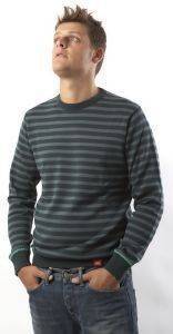 ΠΟΥΛΟΒΕΡ DICKIES ΡΙΓΕ ΚΥΠΑΡΙΣΣΙ (L) ΠΟΥΛΟΒΕΡ DICKIES ΡΙΓΕ ΚΥΠΑΡΙΣΣΙ (L)