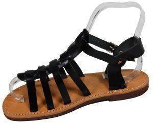 ��������� ����������� �������� ��������� ����� (35)