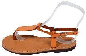 ��������� ����������� �������� �� ����� ������ (39)