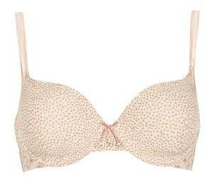  TRIUMPH LOVELY DREAM WHP 01   (80C)