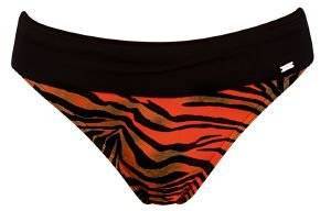 BIKINI BRIEF TRIUMPH 4 YR STYLE 13 PT TAI 02 ���� - ��������� (40)