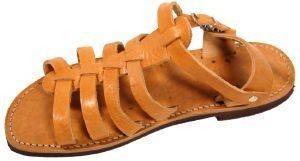 ��������� ����������� �������� ��������� ����� (37)