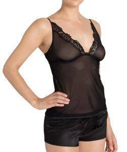 ��� �������� TRIUMPH STAR SPOTLIGHT PSK ����� (40)