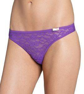 ������� TRIUMPH DREAM ON STRING ��� (38)