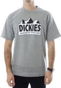 T-SHIRT DICKIES GRAYLING ΓΚΡΙ ΜΕΛΑΝΖΕ (S) T-SHIRT DICKIES GRAYLING ΓΚΡΙ ΜΕΛΑΝΖΕ (S)