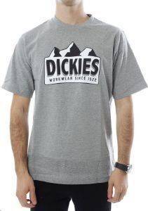 T-SHIRT DICKIES GRAYLING   (S)