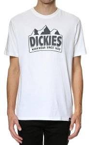 T-SHIRT DICKIES GRAYLING  (S)