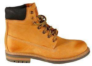 ������� KRICKET VICTORIA ����� (41)