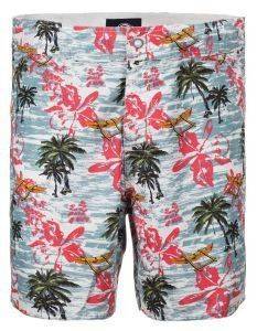  DICKIES PALM VALLEY  (31)