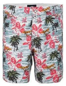 ΒΕΡΜΟΥΔΑ DICKIES PALM VALLEY ΜΠΛΕ (34) ΒΕΡΜΟΥΔΑ DICKIES PALM VALLEY ΜΠΛΕ (34)