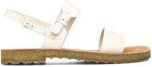 ������ CAMPER PIMPOM 22518 ����� (41)