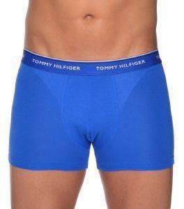 ��������� TOMMY HILFIGER TRUNK PREMIUM HIPSTER ����/�����/������� 3TMX (L)