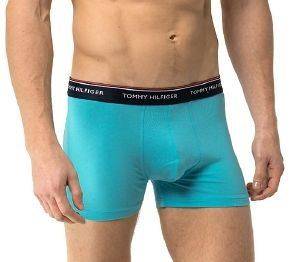  TOMMY HILFIGER TRUNK PREMIUM ESSENTIAL HIPSTER  // 3