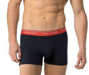 ��������� TOMMY HILFIGER TRUNK PREMIUM ESSENTIAL HIPSTER ������ ���� 3��� (XXL)