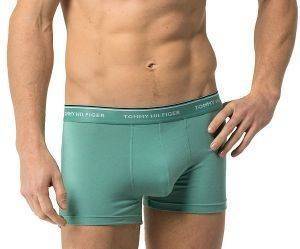 ��������� TOMMY HILFIGER TRUNK PREMIUM ESSENTIAL HIPSTER ������ ����/�������/���� ���� 3��� (XL)