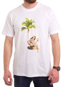 T-SHIRT DICKIES JANESVILL ΛΕΥΚΟ (M) T-SHIRT DICKIES JANESVILL ΛΕΥΚΟ (M)
