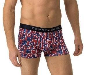 ��������� TOMMY HILFIGER TRUNK WATERCOLOR HIPSTER ������/���� (M)
