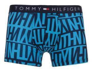 ��������� TOMMY HILFIGER TRUNK LOGO ICON HIPSTER ������ ����/������� 2��� (M)