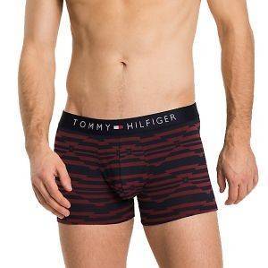 ��������� TOMMY HILFIGER TRUNK PRINT HIPSTER ������ ����/����/������� 3��� (L)