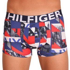 ��������� TOMMY HILFIGER NEW YORK GEO HIPSTER ������ ����/������� (XL)