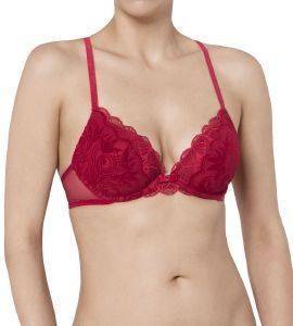  TRIUMPH VELVET SPOTLIGHT WHP   (85C)