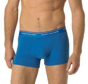 ��������� TOMMY HILFIGER PREMIUM ESSENTIALS HIPSTER ������ ����/�������/������ ������� 3TMX (XXL)