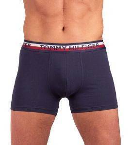  TOMMY HILFIGER TRUNK HIPSTER   2 (M)