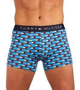 ��������� TOMMY HILFIGER ICON TRUNK PRINT HIPSTER ���� ������/�������/�������/������� 3��� (S)