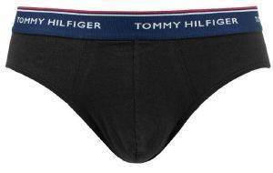 ΣΛΙΠΑΚΙ TOMMY HILFIGER PREMIUM ESSENTIALS 1U87903766-096 ΜΑΥΡΟ/ΣΚΟΥΡΟ ΜΠΛΕ/ΜΠΟΡΝΤΩ 3ΤΜΧ (M) ΣΛΙΠΑΚΙ TOMMY HILFIGER PREMIUM ESSENTIALS 1U87903766-096 ΜΑΥΡΟ/ΣΚΟΥΡΟ ΜΠΛΕ/ΜΠΟΡΝΤΩ 3ΤΜΧ (M)