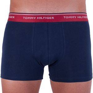 ��������� TOMMY HILFIGER PREMIUM ESSENTIALS HIPSTER 1U87903842/094 ������ ���� 3��� (M)
