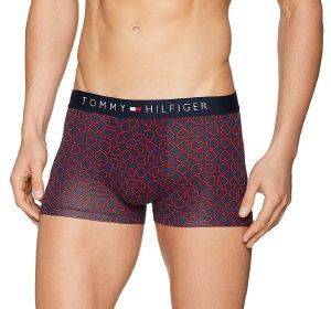  TOMMY HILFIGER TRUNK HEARTS HIPSTER UM0UM00918/611  / (M)