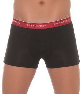 ��������� TOMMY HILFIGER PREMIUM ESSENTIALS TRUNK HIPSTER 1U87903842/076 ����� 3��� (XL)