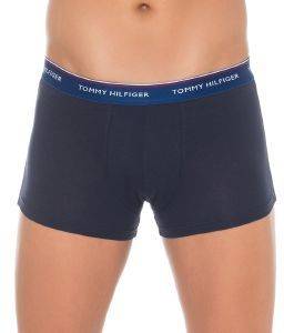 ��������� TOMMY HILFIGER PREMIUM ESSENTIALS TRUNK HIPSTER 1U87903842/040 ������ ���� 3��� (L)