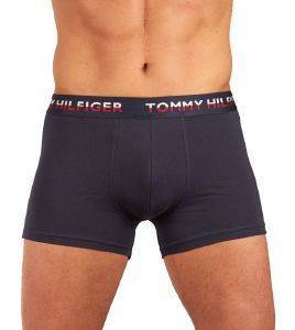  TOMMY HILFIGER TRUNK HIPSTER UM0UM00746/006  / 2 (M)