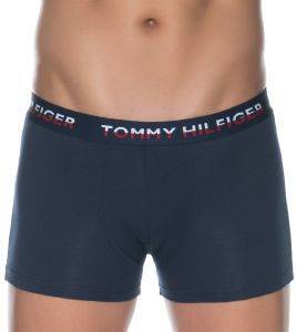 ��������� TOMMY HILFIGER TRUNK PRINT HIPSTER UM0UM01233/065 ������ ����/��� 2��� (M)