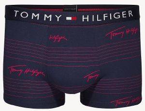  TOMMY HILFIGER TRUNK LOGO HIPSTER UM0UM01365/643  / (L)