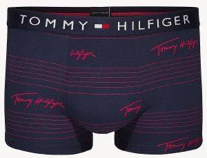  TOMMY HILFIGER TRUNK LOGO HIPSTER UM0UM01365/643  / (XL)