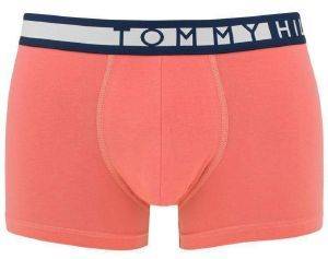 ΜΠΟΞΕΡΑΚΙ TOMMY HILFIGER STRIPE HIPSTER UM0UM01402/060 ΣΟΜΟΝ/ΣΚΟΥΡΟ ΜΠΛΕ 3ΤΜΧ (XL) ΜΠΟΞΕΡΑΚΙ TOMMY HILFIGER STRIPE HIPSTER UM0UM01402/060 ΣΟΜΟΝ/ΣΚΟΥΡΟ ΜΠΛΕ 3ΤΜΧ (XL)
