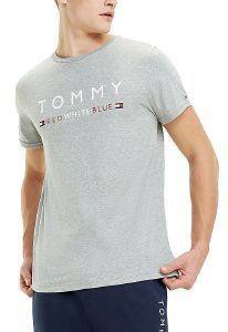 T-SHIRT TOMMY HILFIGER UM0UM01167/004 ΓΚΡΙ ΜΕΛΑΝΖΕ (M) T-SHIRT TOMMY HILFIGER UM0UM01167/004 ΓΚΡΙ ΜΕΛΑΝΖΕ (M)