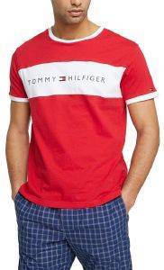 T-SHIRT TOMMY HILFIGER LOGO FLAG UM0UM01170/611 ������� (XL)