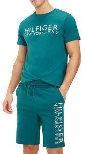 T-SHIRT TOMMY HILFIGER NEW YORK LOGO UM0UM01172/320 ������ (L)