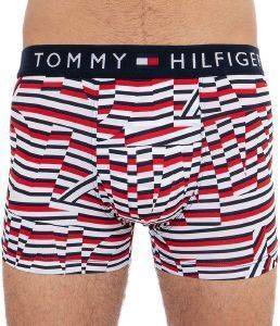  TOMMY HILFIGER CUTOUT HIPSTER UM0UM01491/416  (S)