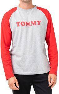   TOMMY HILFIGER LOGO UM0UM01624/004   (S)