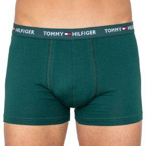  TOMMY HILFIGER HIPSTER UM0UM01659/LBT   (L)