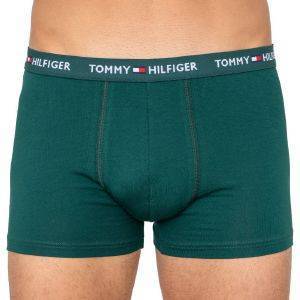  TOMMY HILFIGER HIPSTER UM0UM01659/LBT   (XL)