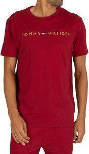 T-SHIRT TOMMY HILFIGER LOGO GOLD UM0UM01679/XB8 ΣΚΟΥΡΟ ΚΟΚΚΙΝΟ (S) T-SHIRT TOMMY HILFIGER LOGO GOLD UM0UM01679/XB8 ΣΚΟΥΡΟ ΚΟΚΚΙΝΟ (S)