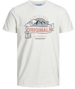 T-SHIRT JACK & JONES JORHAYES 12165875 ΛΕΥΚΟ (XXL) T-SHIRT JACK & JONES JORHAYES 12165875 ΛΕΥΚΟ (XXL)
