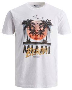 T-SHIRT JACK & JONES JORKALLO 12164438  (XL)