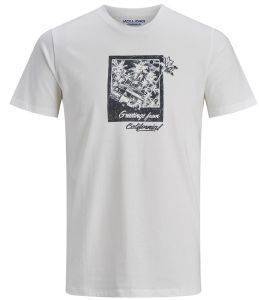 T-SHIRT JACK & JONES JORPOSTCARD 12172271  (S)