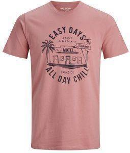 T-SHIRT JACK & JONES JORPOSTCARD 12172271 ΡΟΖ (S) T-SHIRT JACK & JONES JORPOSTCARD 12172271 ΡΟΖ (S)